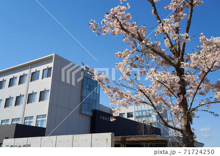 石橋総合病院 石橋総合病院 71724250