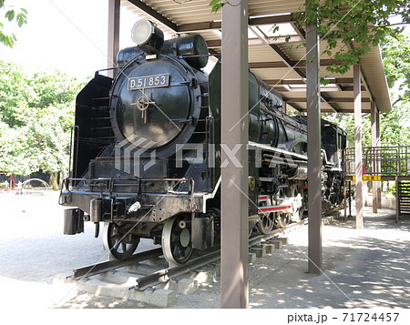 D51形684号機 東村山市運動公園 - 凹凸プラ陳列館