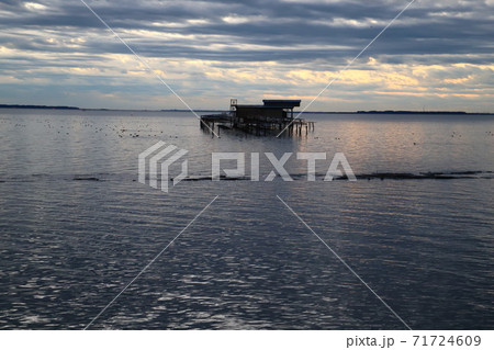 歩埼公園からの朝日に輝く霞ヶ浦 71724609
