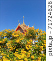 The Thong Aura is a kind of sacred wood in Thailand  71724626