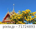 The Thong Aura is a kind of sacred wood in Thailand 71724893
