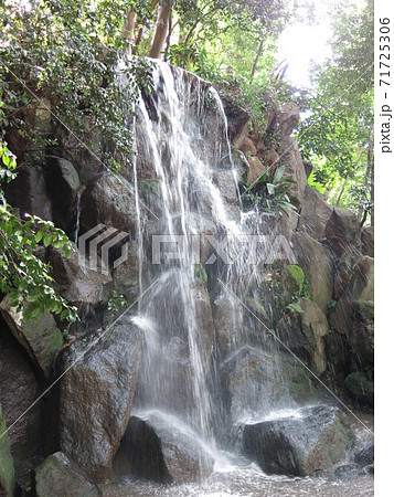 東京都北区の名主の滝公園にある男滝 東京都北区の名主の滝公園にある男滝 71725306