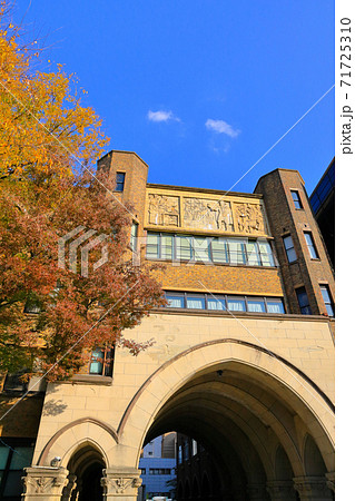 東京大学医学部_管理・研究棟_縦 71725310