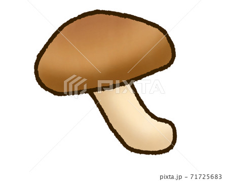 しいたけのイラスト素材
