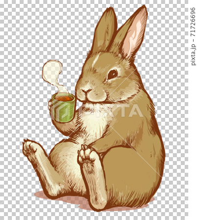 うさぎのリラックスタイム お茶のイラスト素材