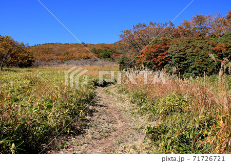 秋のくじゅう連山 赤川登山口から扇ケ鼻登山 紅葉の山肌 秋のくじゅう連山 赤川登山口から扇ケ鼻登山 紅葉の山肌 71726721