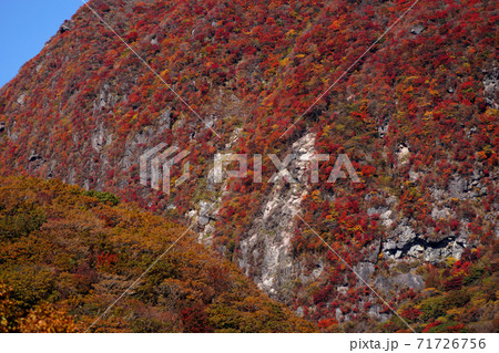 秋のくじゅう連山　赤川登山口から扇ケ鼻登山　紅葉の山肌 71726756