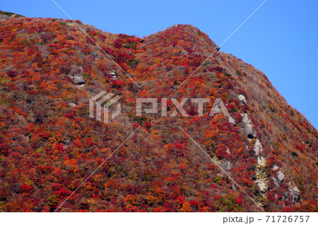 秋のくじゅう連山 赤川登山口から扇ケ鼻登山 紅葉の山肌 秋のくじゅう連山 赤川登山口から扇ケ鼻登山 紅葉の山肌 71726757