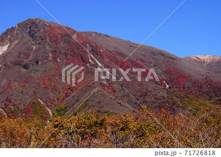 秋のくじゅう連山 赤川登山口から扇ケ鼻登山 紅葉の山肌 秋のくじゅう連山 赤川登山口から扇ケ鼻登山 紅葉の山肌 71726818
