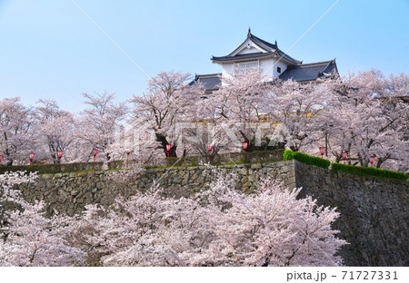 桜景　津山城　備中櫓 71727331