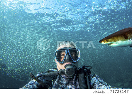 Underwater selfie with great white shark ready to attack a scuba diver Underwater selfie with great white shark ready to attack a scuba diver 71728147