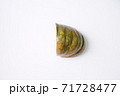 Japan Trip 2002 71728477