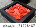 Japan Trip 2002 71728487