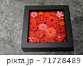 Japan Trip 2002 71728489