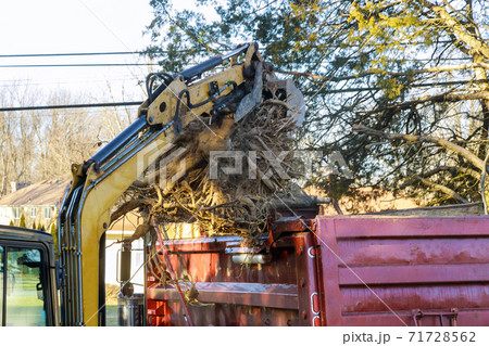 Urban emergency service removes a tree with special equipment tractor loading into a truck 71728562