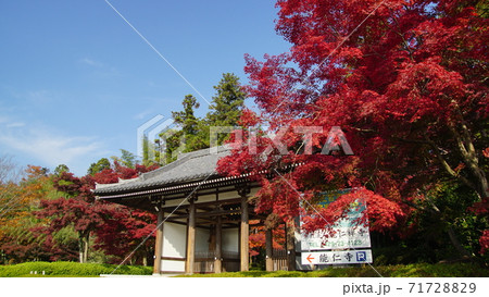 飯能市「能仁寺」紅葉 飯能市「能仁寺」紅葉 71728829