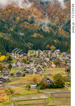 紅葉の岐阜県白川村 白川郷 紅葉の岐阜県白川村 白川郷 71729596