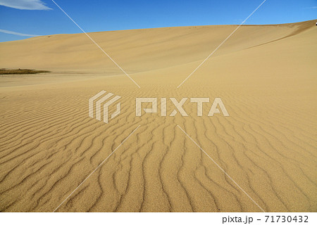 青空に映える晩秋の鳥取砂丘 71730432