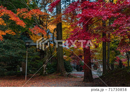 広島県世羅の今高野山の紅葉 広島県世羅の今高野山の紅葉 71730858