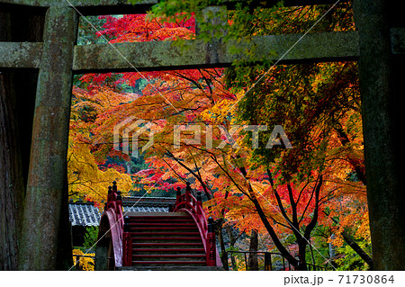 広島県世羅の今高野山の紅葉 広島県世羅の今高野山の紅葉 71730864