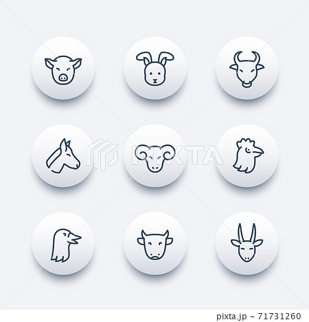Farm animals line icons Farm animals line icons 71731260