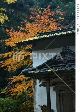 広島県世羅郡今高野山の紅葉 広島県世羅郡今高野山の紅葉 71731324
