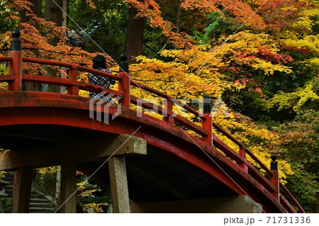 広島県世羅郡今高野山の紅葉 71731336