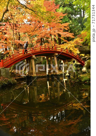 広島県世羅郡今高野山の紅葉 71731344