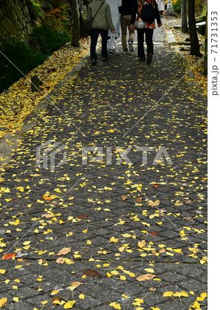 広島県世羅郡今高野山の紅葉 71731353