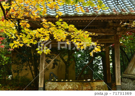 広島県世羅郡今高野山の紅葉 広島県世羅郡今高野山の紅葉 71731369