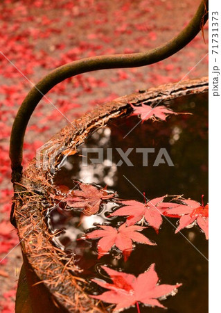 広島県世羅郡今高野山の紅葉 広島県世羅郡今高野山の紅葉 71731373