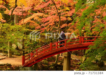 広島県世羅郡今高野山の紅葉 広島県世羅郡今高野山の紅葉 71731384