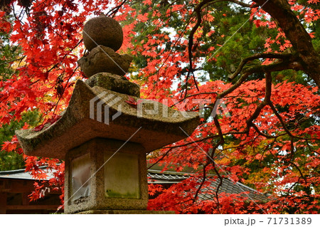 広島県世羅郡今高野山の紅葉 広島県世羅郡今高野山の紅葉 71731389
