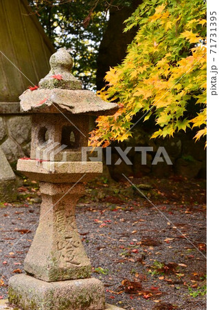 広島県世羅郡今高野山の紅葉 広島県世羅郡今高野山の紅葉 71731395