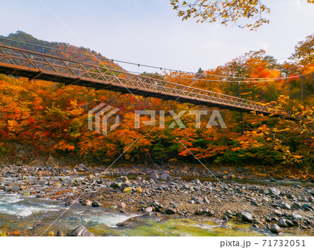紅葉の塩原渓谷に掛かる吊橋 (七ツ岩吊橋、那須塩原、栃木県) 紅葉の塩原渓谷に掛かる吊橋 (七ツ岩吊橋、那須塩原、栃木県) 71732051