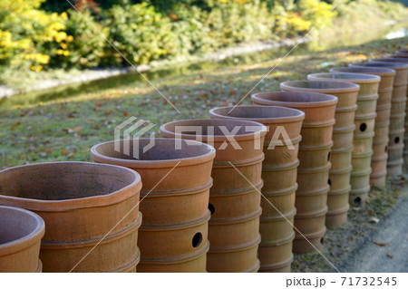 今城塚古墳公園 71732545