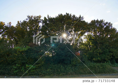 今城塚古墳　墳丘 71733148