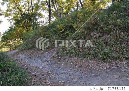 今城塚古墳　墳丘 71733155