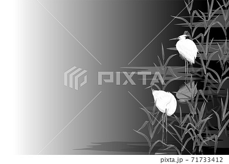 白鷺 サギ 墨絵 モノクロ 白鷺 サギ 墨絵 モノクロ 71733412