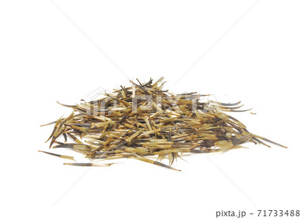 Marigold seed isolated. 71733488