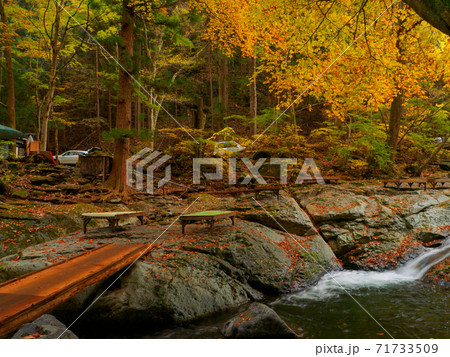 紅葉の渓流沿いの休憩所 (小太郎茶屋、小太郎ヶ淵、那須塩原、栃木県) 紅葉の渓流沿いの休憩所 (小太郎茶屋、小太郎ヶ淵、那須塩原、栃木県) 71733509