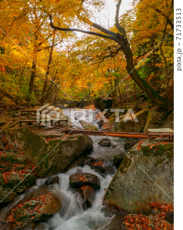紅葉の渓流沿いの休憩所 (小太郎茶屋、小太郎ヶ淵、那須塩原、栃木県) 71733513