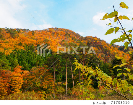 紅葉に覆われた須巻富士 (那須塩原、栃木県) 紅葉に覆われた須巻富士 (那須塩原、栃木県) 71733516