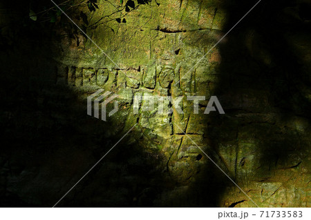 ＜神奈川県＞戦時は軍の要塞として使用されていた無人島猿島 71733583