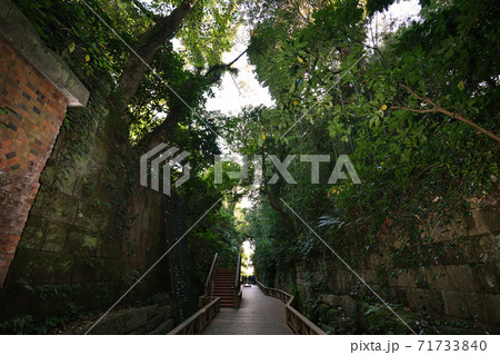 ＜神奈川県＞戦時は軍の要塞として使われていた無人島猿島 71733840