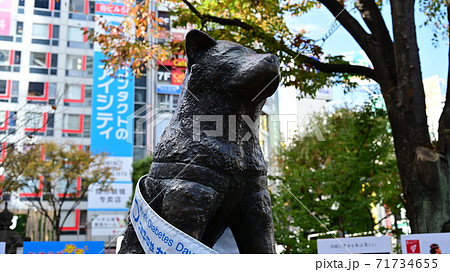 渋谷駅前の忠犬ハチ公 渋谷駅前の忠犬ハチ公 71734655