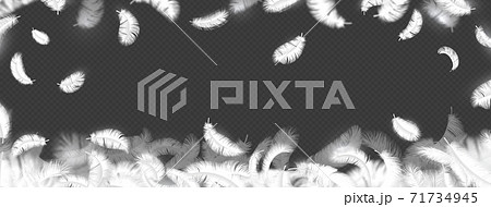 Falling feather background. Realistic 3d fluffy bird plumage for advertising. Smooth border for horizontal banner, decorative frame, poster or flyer, vector isolated goose or swan quill 71734945