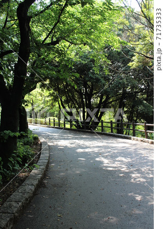 夜宮公園の小道① 71735333