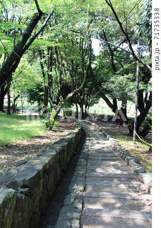 夜宮公園の小道② 71735338