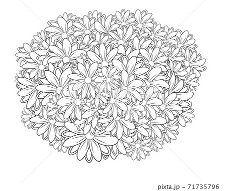 Black and white circle flower ornament, ornamental round lace design. Floral mandala. Black and white circle flower ornament, ornamental round lace design. Floral mandala. 71735796